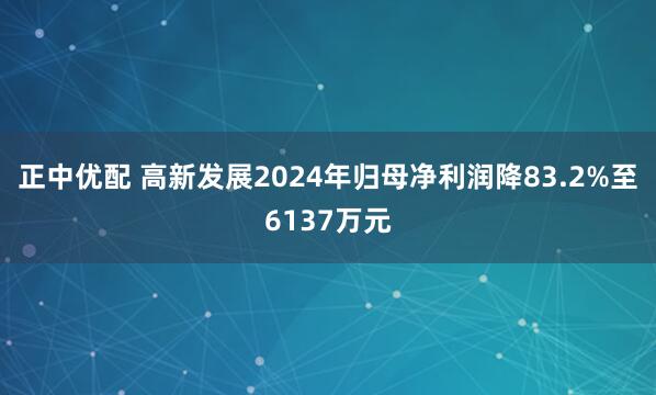 正中优配 高新发展2024年归母净利润降83.2%至6137万元