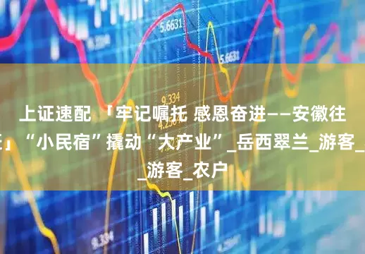 上证速配 「牢记嘱托 感恩奋进——安徽往前赶」“小民宿”撬动“大产业”_岳西翠兰_游客_农户