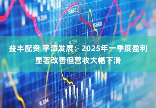 益丰配资 平潭发展：2025年一季度盈利显著改善但营收大幅下滑