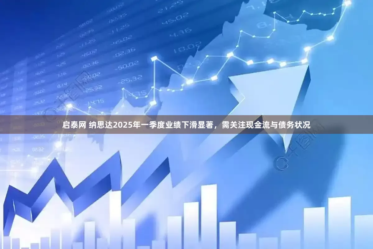 启泰网 纳思达2025年一季度业绩下滑显著，需关注现金流与债务状况