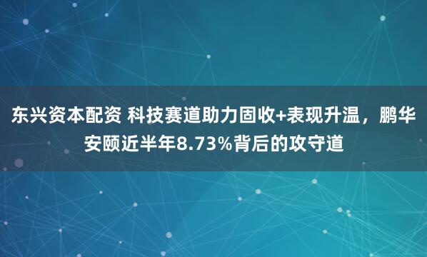东兴资本配资 科技赛道助力固收+表现升温，鹏华安颐近半年8.73%背后的攻守道