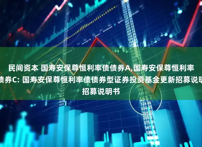 民间资本 国寿安保尊恒利率债债券A,国寿安保尊恒利率债债券C: 国寿安保尊恒利率债债券型证券投资基金更新招募说明书