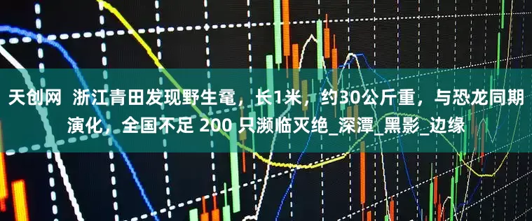 天创网  浙江青田发现野生鼋，长1米，约30公斤重，与恐龙同期演化，全国不足 200 只濒临灭绝_深潭_黑影_边缘